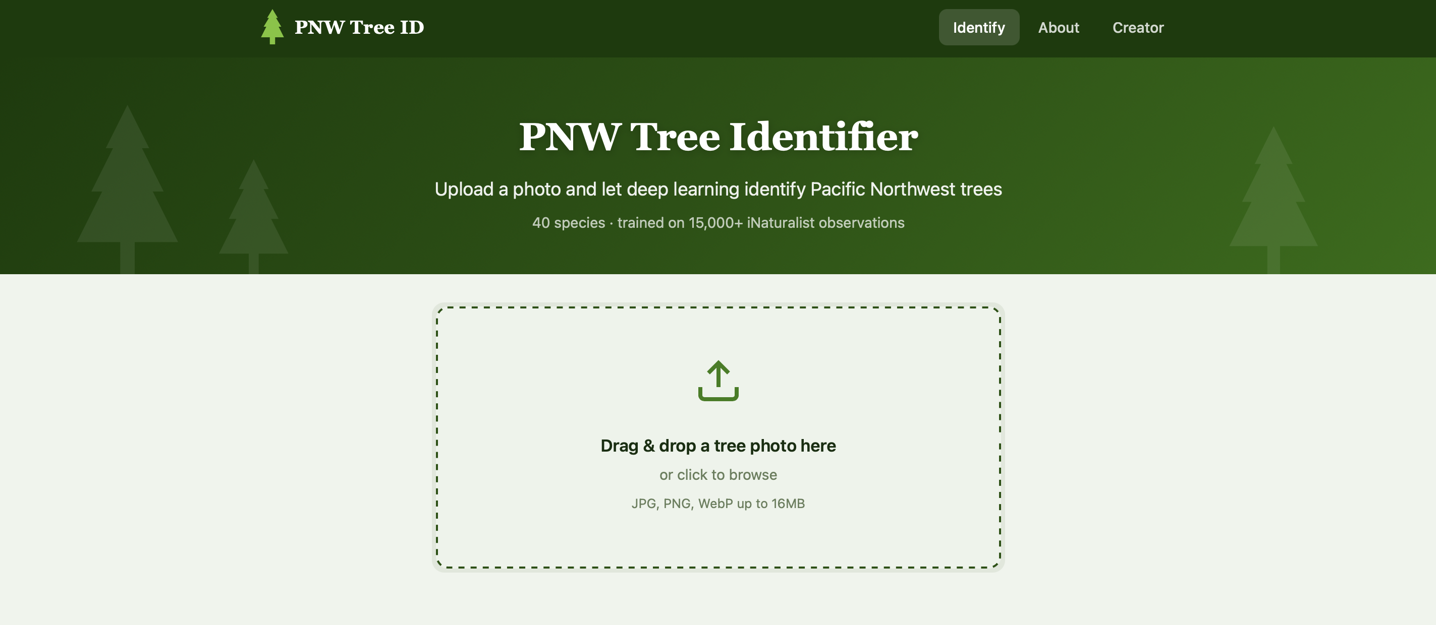 Screenshot of the PNW Tree Identifier web app