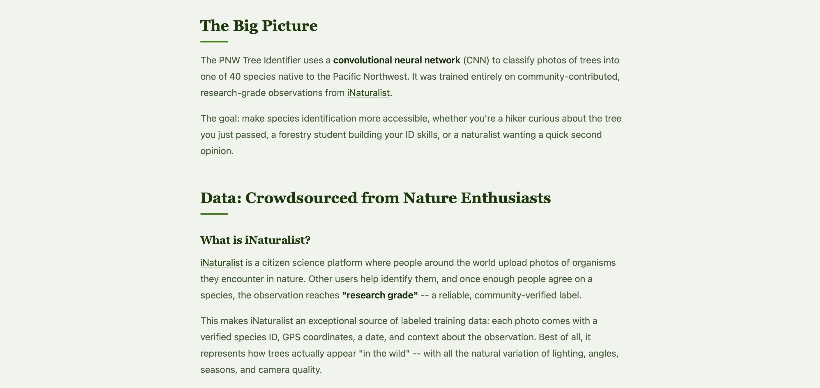 Screenshot of the About page showing detailed explanations of the data sourcing from iNaturalist, an architecture diagram of the neural network, and side-by-side cards explaining the two training phases.