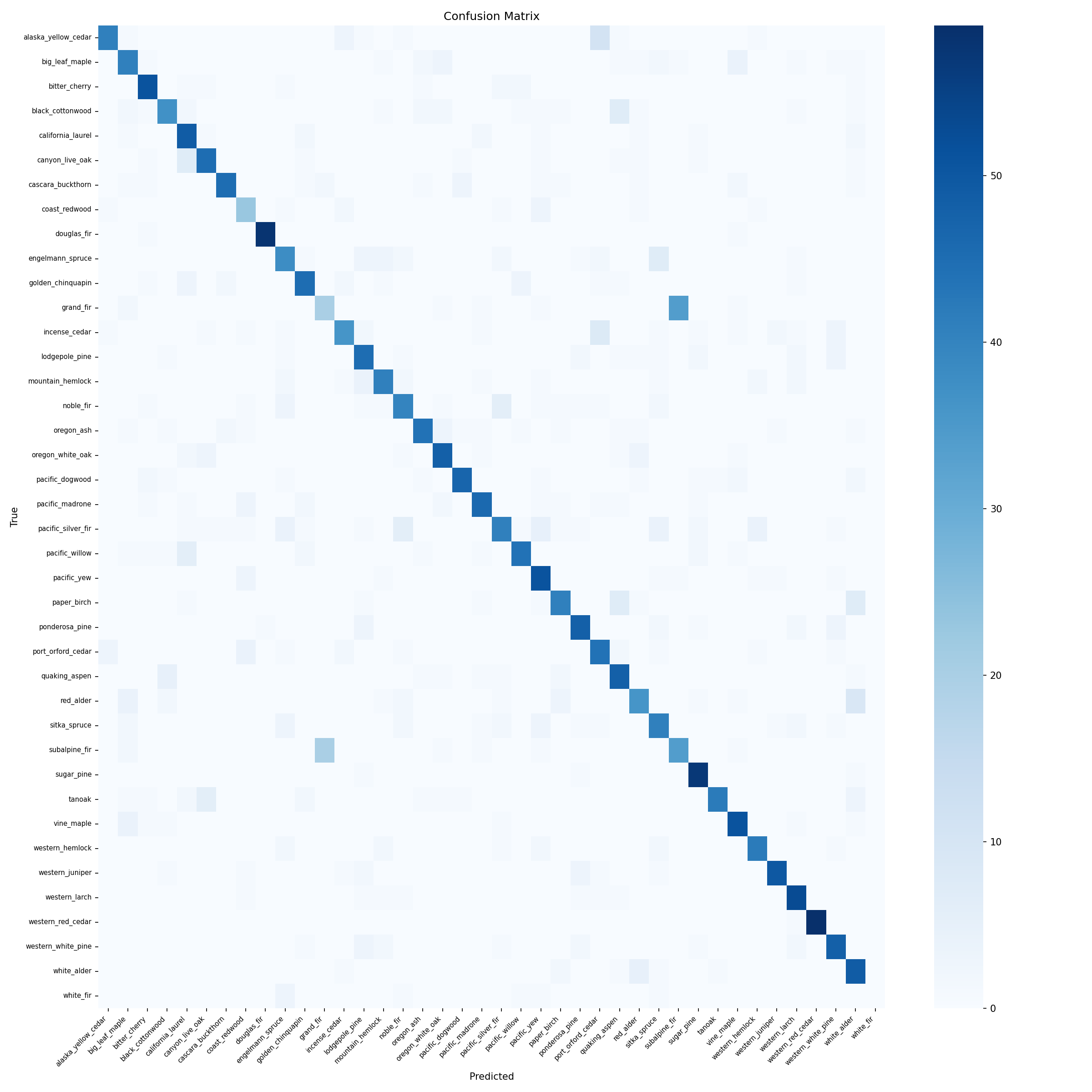 A 40x40 confusion matrix heatmap showing model predictions vs true labels. A strong diagonal pattern indicates high accuracy, with a few off-diagonal spots showing confusion between similar species like the spruces and true firs.