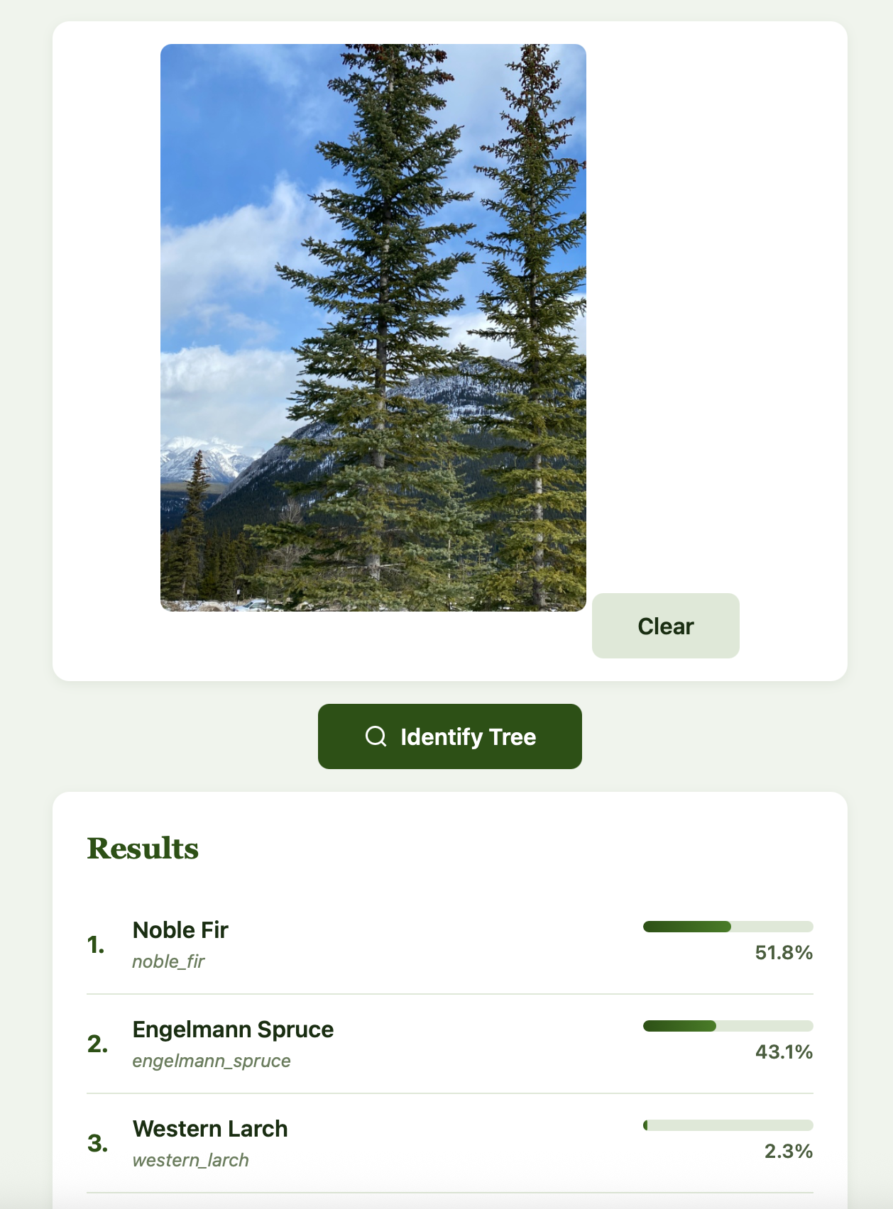 Screenshot showing prediction results: Douglas Fir at 78.4% confidence, followed by Engelmann Spruce at 5.5%, Mountain Hemlock at 2.7%, and other species at lower confidence levels.