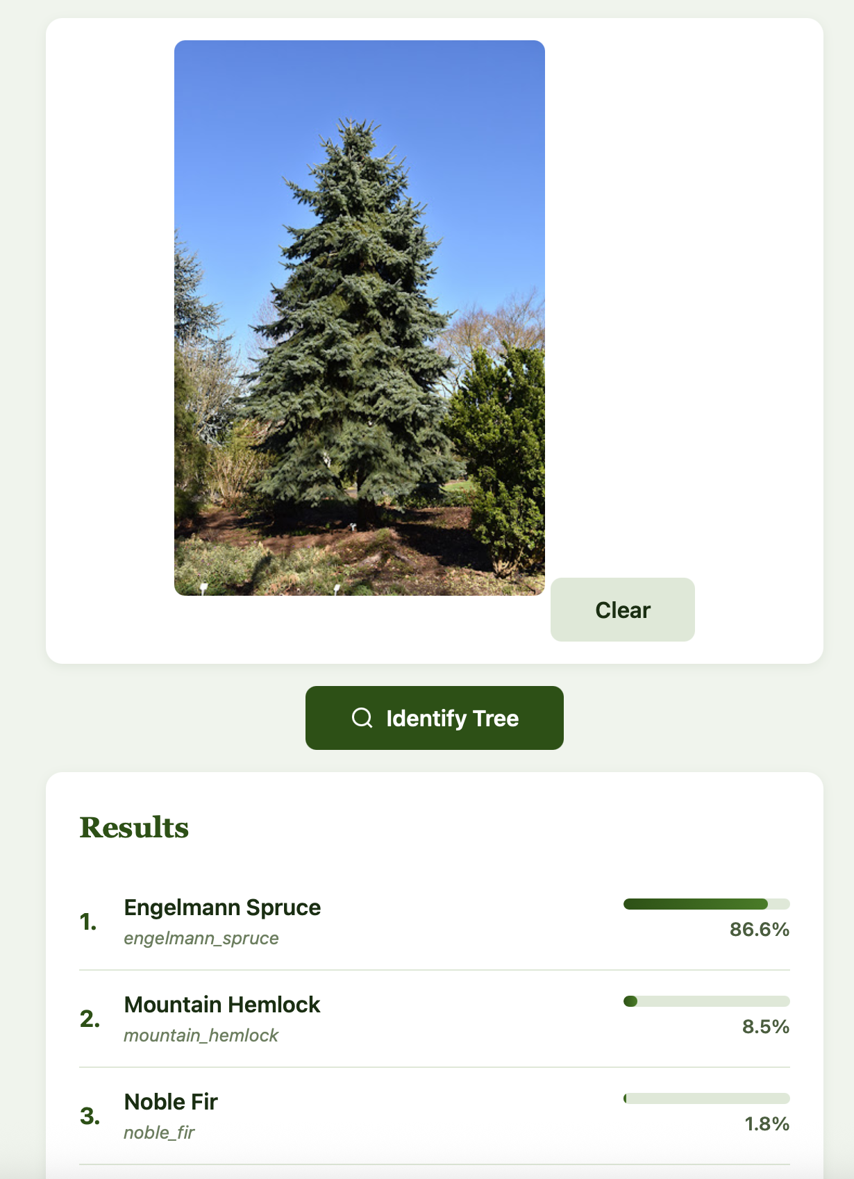 Screenshot showing prediction results: Douglas Fir at 78.4% confidence, followed by Engelmann Spruce at 5.5%, Mountain Hemlock at 2.7%, and other species at lower confidence levels.