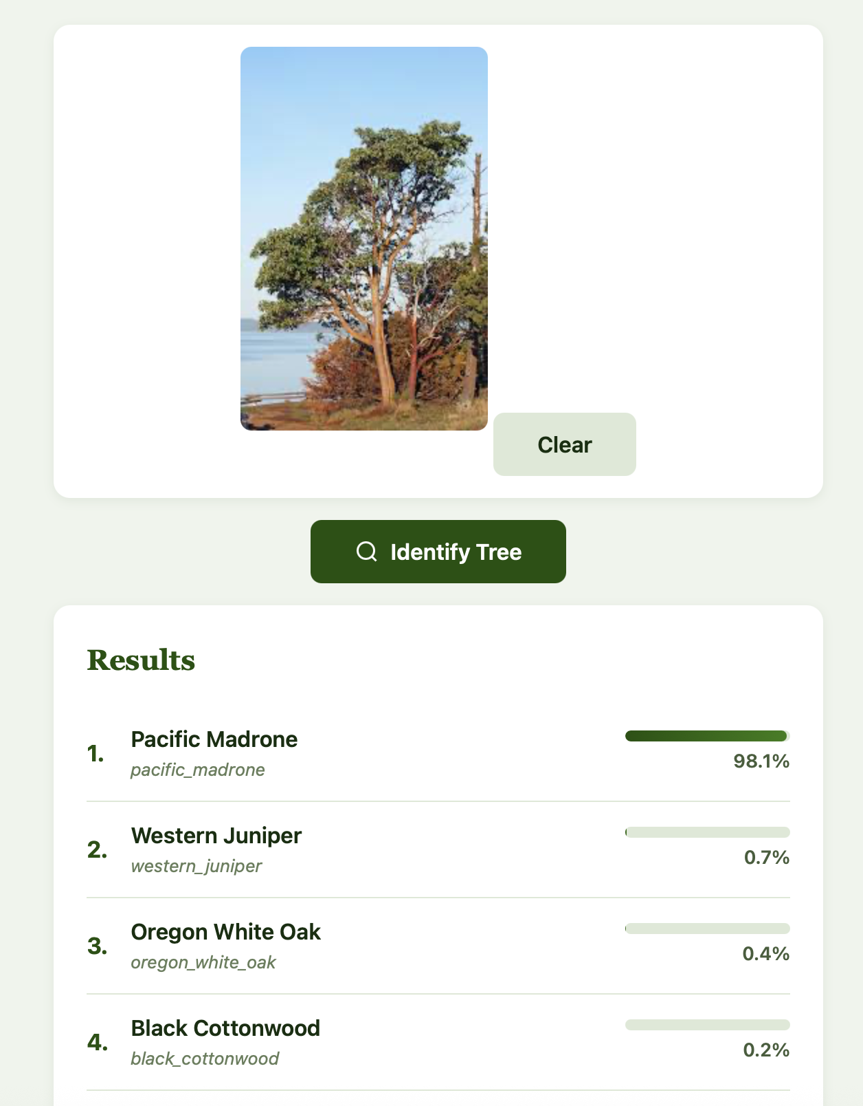 Screenshot showing prediction results: Douglas Fir at 78.4% confidence, followed by Engelmann Spruce at 5.5%, Mountain Hemlock at 2.7%, and other species at lower confidence levels.